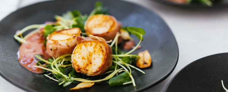 Scallops