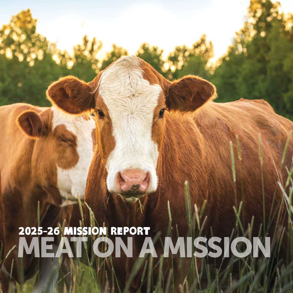 2025-26 Applegate Mission report image of cows on pasture