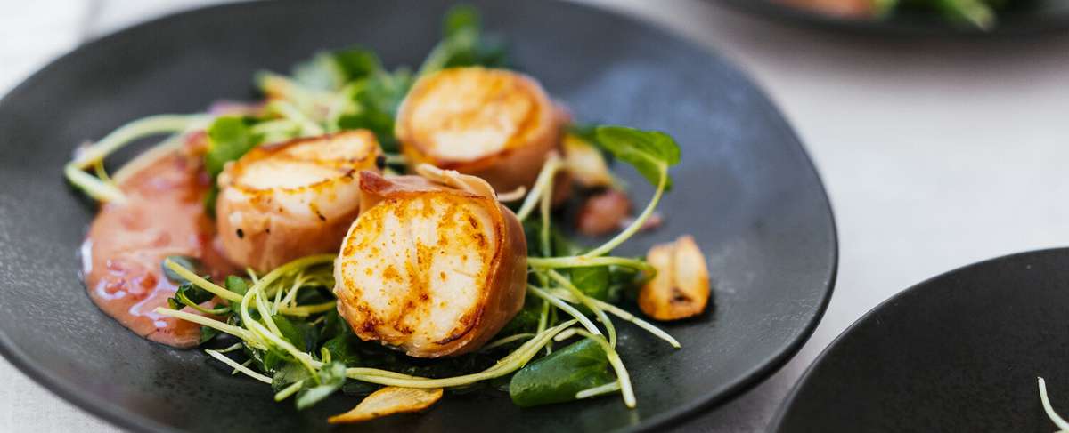 Scallops
