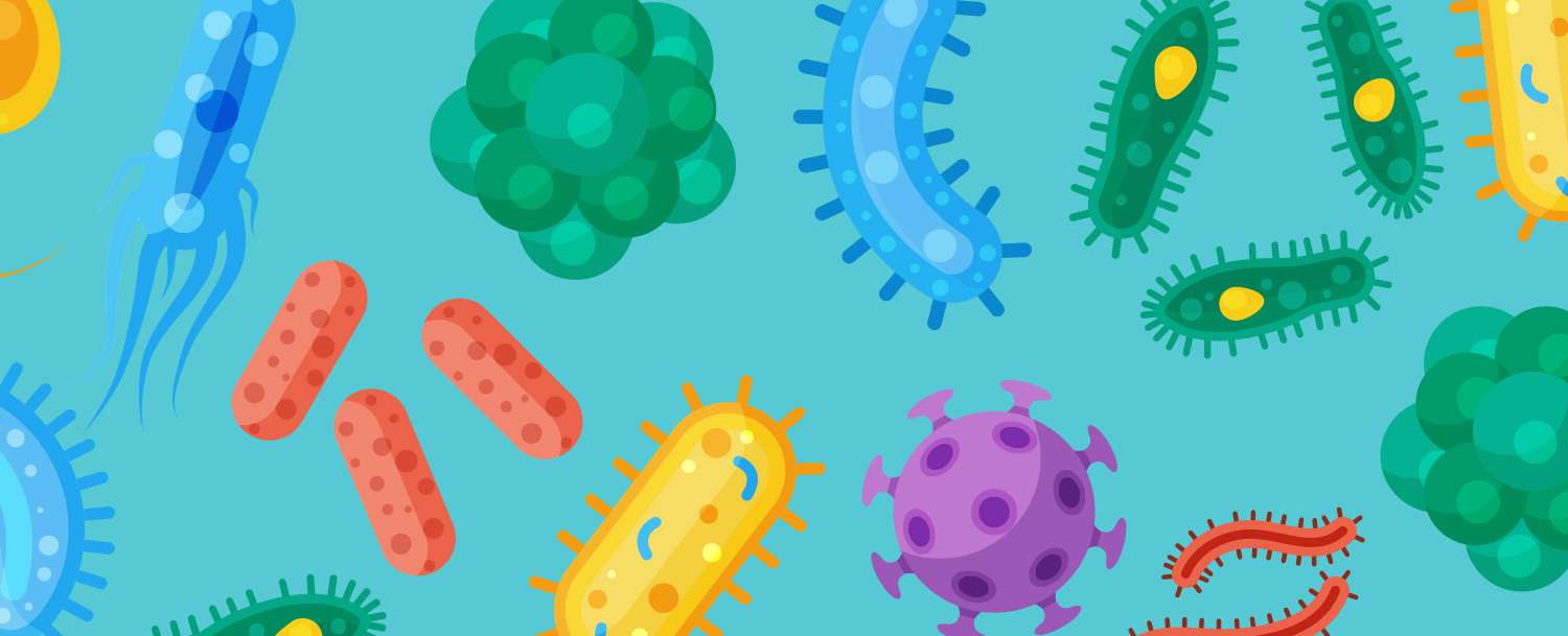 Superbugs Blog Image