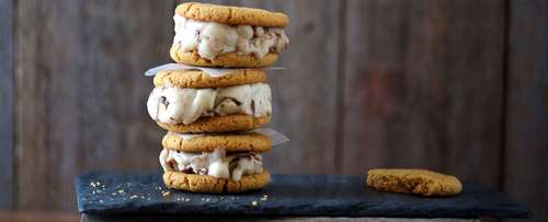 Elvis Ice Cream Sandwich