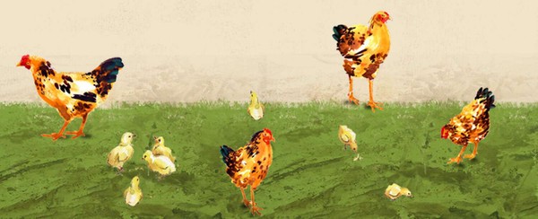 Applegate - A New Roadmap for Poultry Welfare
