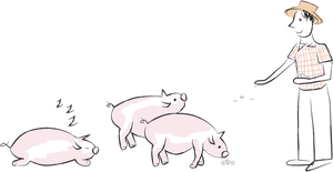 Illustration Standards